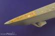 Eduard Accessories 53015 - U-boat VIIC/41 für Revell Bausatz in 1:72