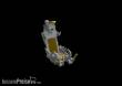 Eduard Accessories 672239 - MiG-21PF ejection seat for Eduard in 1:72
