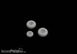 Eduard Accessories 672241 - B-26 Marauder wheels for Eduard/Hasegawa in 1:72