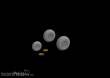 Eduard Accessories 672241 - B-26 Marauder wheels for Eduard/Hasegawa in 1:72