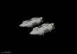 Eduard Accessories 672261 - BRU-57A rack 1/72 in 1:72