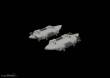 Eduard Accessories 672261 - BRU-57A rack 1/72 in 1:72