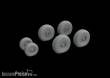 Eduard Accessories 672263 - C-130 wheels 1/72 for ZVEZDA in 1:72