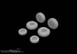 Eduard Accessories 672263 - C-130 wheels 1/72 for ZVEZDA in 1:72