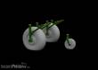 Eduard Accessories 632144 - Lancaster wheels for HKM in 1:32