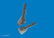 Eduard Accessories 632213 - Fw 190 undercarriage legs PRINT for Revell