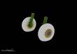 Eduard Accessories 644328 - Ju 88A-4 LööKplus for Eduard / ICM