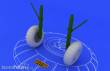 Eduard Accessories 648052 - Bf 110 C/D main undercarriage wheels in 1:48