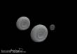 Eduard Accessories 648543 - He 111 wheels late for ICM in 1:48