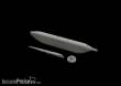 Eduard Accessories 648554 - AN/ALQ-99 pod High Band in 1:48