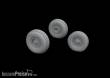 Eduard Accessories 648735 - 1:48 OV-10 wheels for ICM