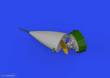 Eduard Accessories 648856 - 1:48 F-16 radar late PRINT 1/48 KINETIC