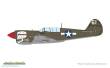 Eduard Plastic Kits 84210 - P-40N Warhawk
