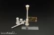Hauler HLU35087 - Street lamps (two pcs )