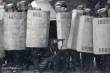 Hauler HLU35088 - Ukraine police shield (2pcs)
