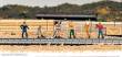 Bachmann 42341 - Train Work Crew (HO Scale)