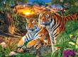 Castorland C-200825-2 - Tiger Family, Puzzle 2000 Teile