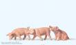 Preiser 47048 - 1:25 Ferkel