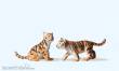 Preiser 47513 - 1:25 Tiger, jung