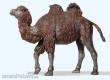 Preiser 47533 - 1:25 Trampeltier