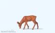 Preiser 47703 - 1:25 Hirschkalb