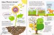 Ravensburger 480180 - Alles was ich wissen will