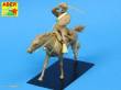 Aber Models 35249 - Cavalry Regiment
