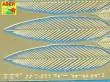 Aber Models 35D-38 - Palm leaves-set 2