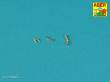 Aber Models 16 L-33 - Set of barrels tips for two German machine guns MG 42