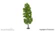 Vollmer 48401 - Birke 18 cm