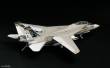 Academy 12253 - 1/48 F-14A