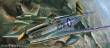 Academy 12441 - 1/72 P-51C