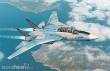 Academy 492594 - 1/72 F-14A IRIAF