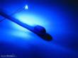 Schönwitz 50071 - LED SMD 0402 blau (Abgabe in 10er-Mengen)