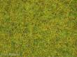 Noch 50190 - Streugras Sommerwiese, 2,5 mm