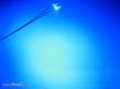 Schönwitz 50255 - LED SMD 0805 mit Lackdraht blau