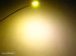 Schönwitz 50261 - LED SMD 0805 mit Lackdraht warmweiß