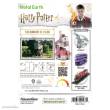 Metal Earth 502766 - Metal Earth: Harry Potter The Burrow (colored)