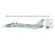 Italeri 510001414 - 1:72 F-14A Tomcat Recessed Line Panels