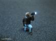 Schönwitz 51368 - Figur mit LED Taschenlampe N
