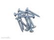 Schönwitz 51605 - 10 Stück Spanplattenschrauben Schraubenset 3x20mm Kreuzschlitz verzinkt