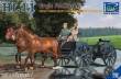Riich Models RV35013 - German Horses Drawn Large Field Kitchen Hf.11(two horses&one figure,one dog in 1:35