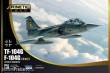 KINETIC K48089 - TF-104G GERMAN AIRFORCE in 1:48