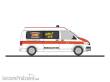Rietze 53779 - Volkswagen T6 ASB RV Erlangen-Höchstadt, 1:87