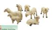 Prehm-Miniaturen 550702 - Art.-Nr. 550702 - 6 Schafe im Set