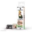 AK Interactive AKM107 - PLAYMARKERS SET - SKIN & FLESH TONES (6 ref.)