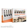 AK Interactive AKG26 - NATURE WEATHERING EFFECTS SET - AK GOUACHES, 6x 20 ml