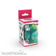 AK Interactive AK17513 - FOREST & JUNGLE (QUICK GEN SET)