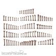 AK Interactive AKBIT0013 - HUMAN BONES - BASING BITS 120 pieces
