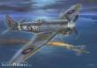 Special Hobby 100-SH32091 - Tempest Mk.V Doodle-bug Hunters
